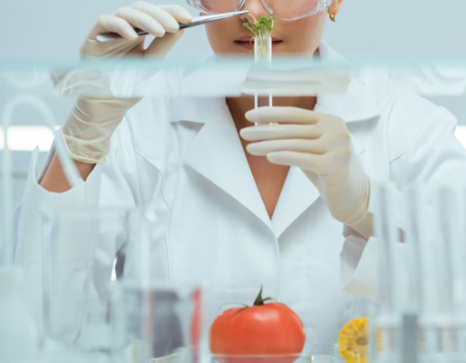 食品級二氧化碳分析案例